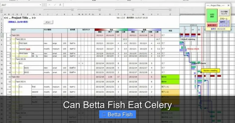 Can Betta Fish Eat Celery