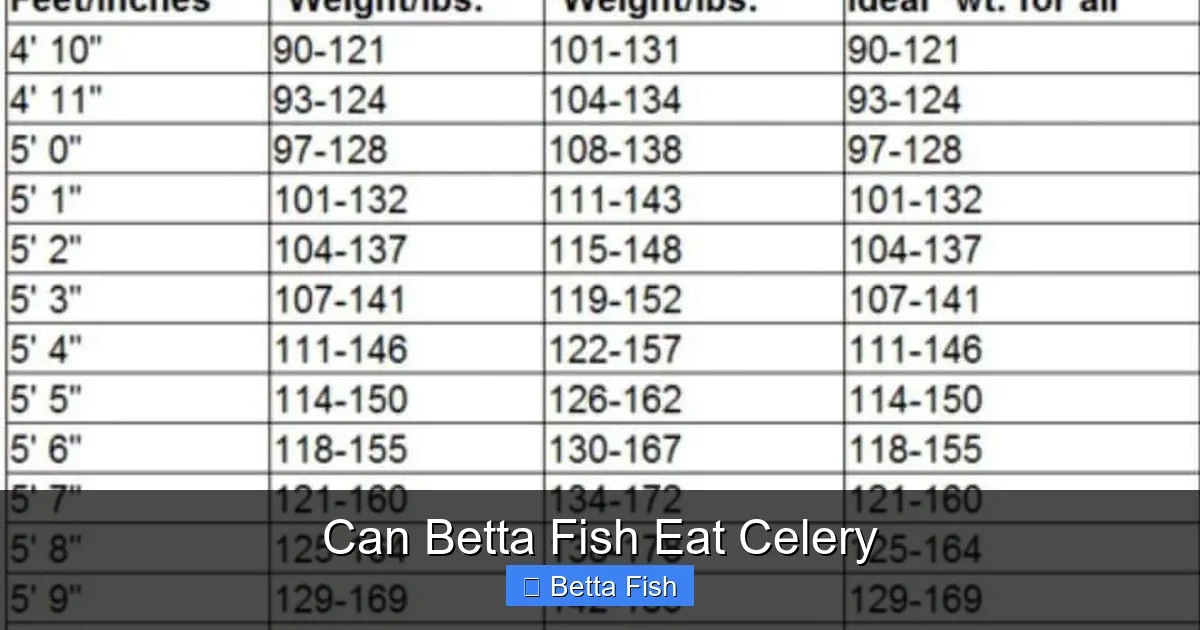 Can Betta Fish Eat Celery