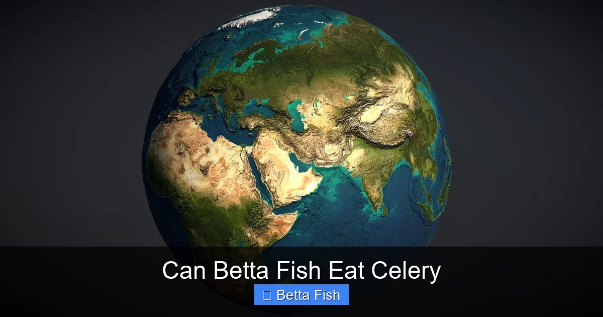 Can Betta Fish Eat Celery