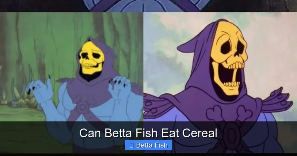 Can Betta Fish Eat Cereal