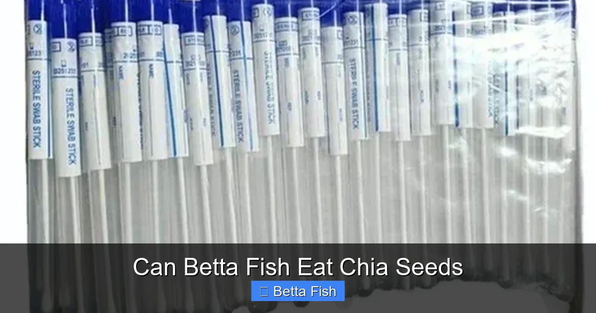Can Betta Fish Eat Chia Seeds