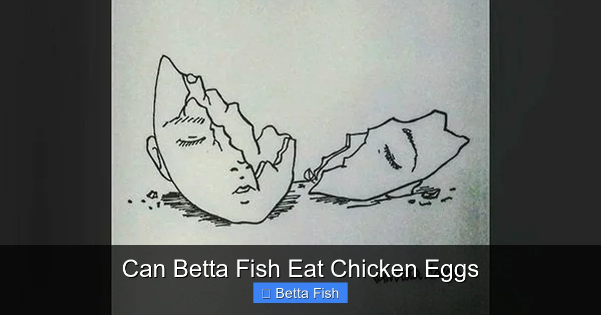 Can Betta Fish Eat Chicken Eggs