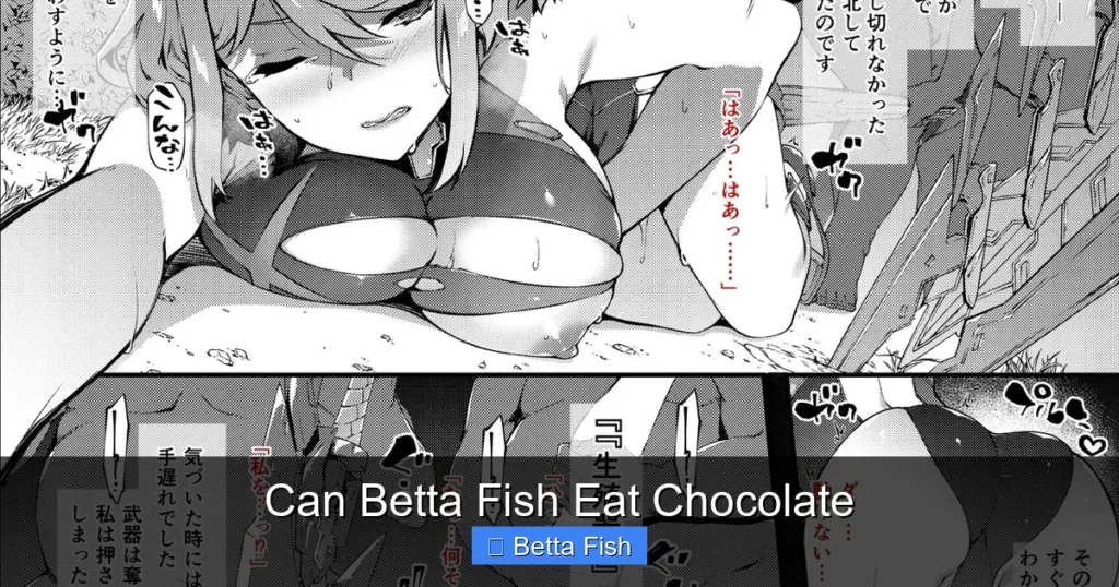 Can Betta Fish Eat Chocolate