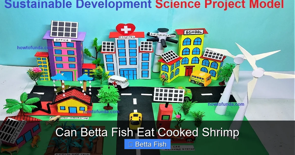 Can Betta Fish Eat Cooked Shrimp