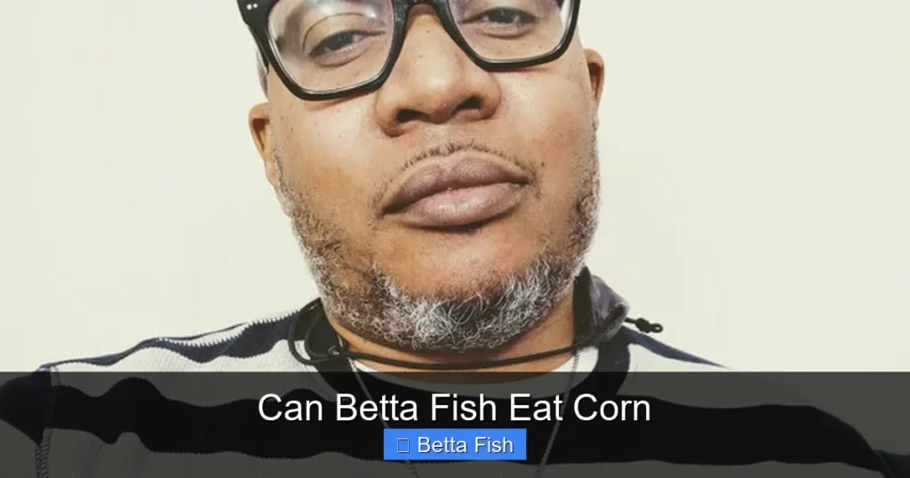 Can Betta Fish Eat Corn