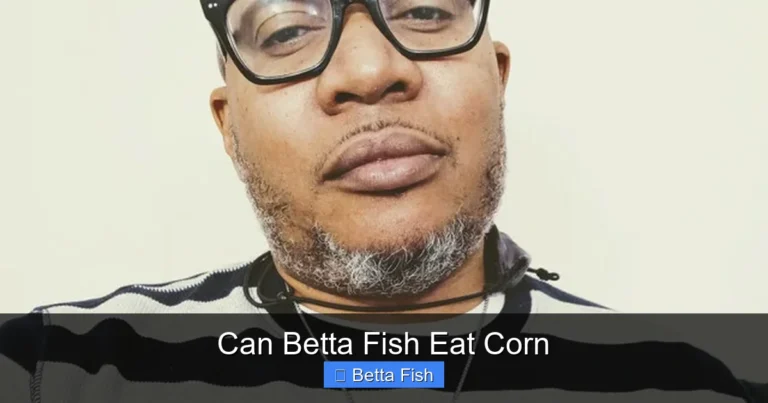 Can Betta Fish Eat Corn