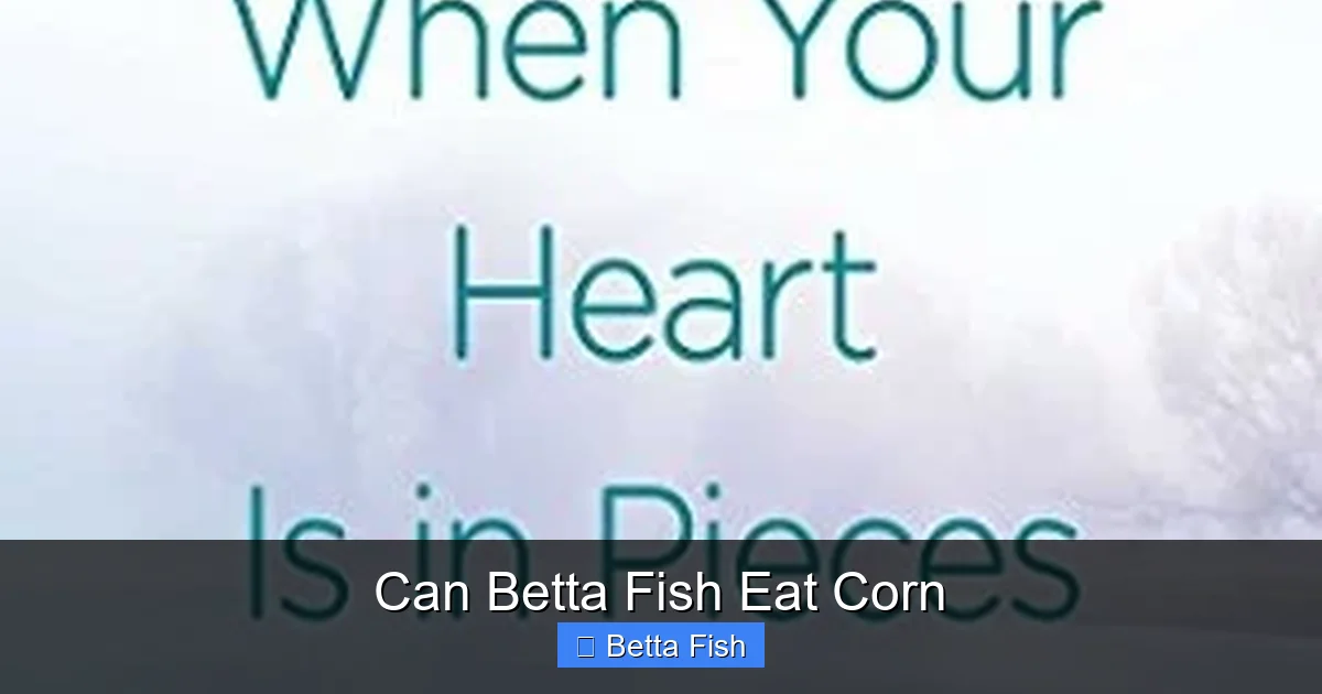 Can Betta Fish Eat Corn