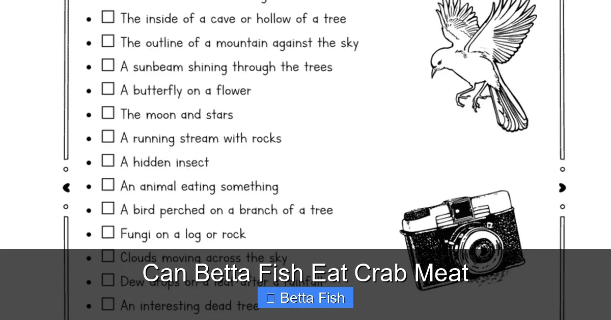Can Betta Fish Eat Crab Meat