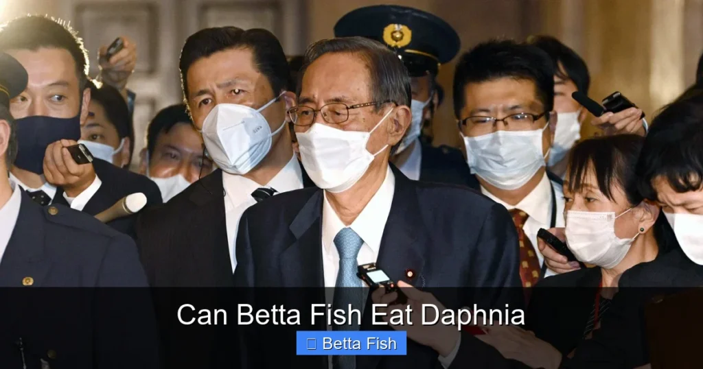 Can Betta Fish Eat Daphnia
