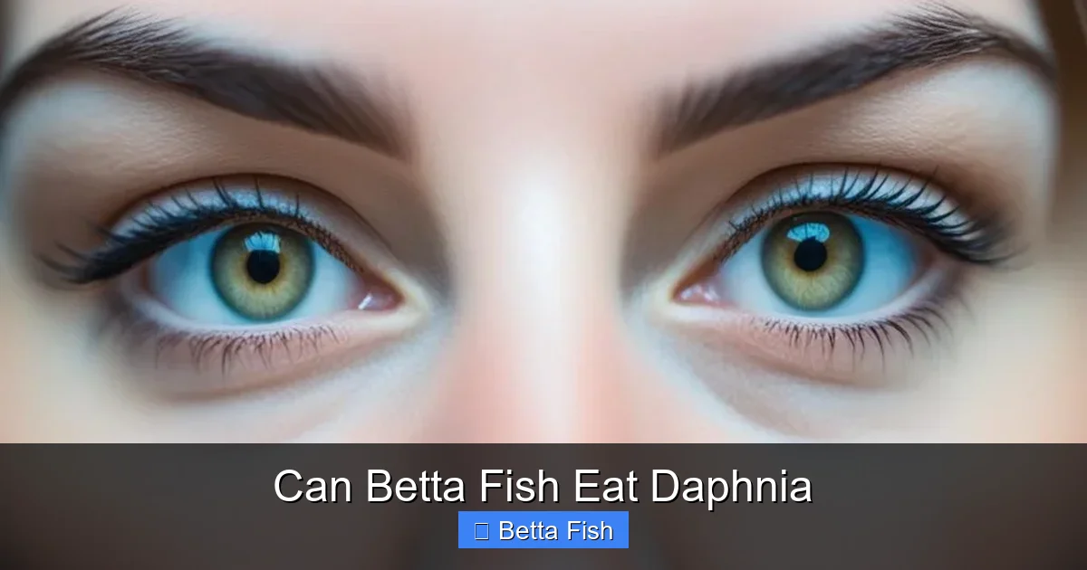 Can Betta Fish Eat Daphnia