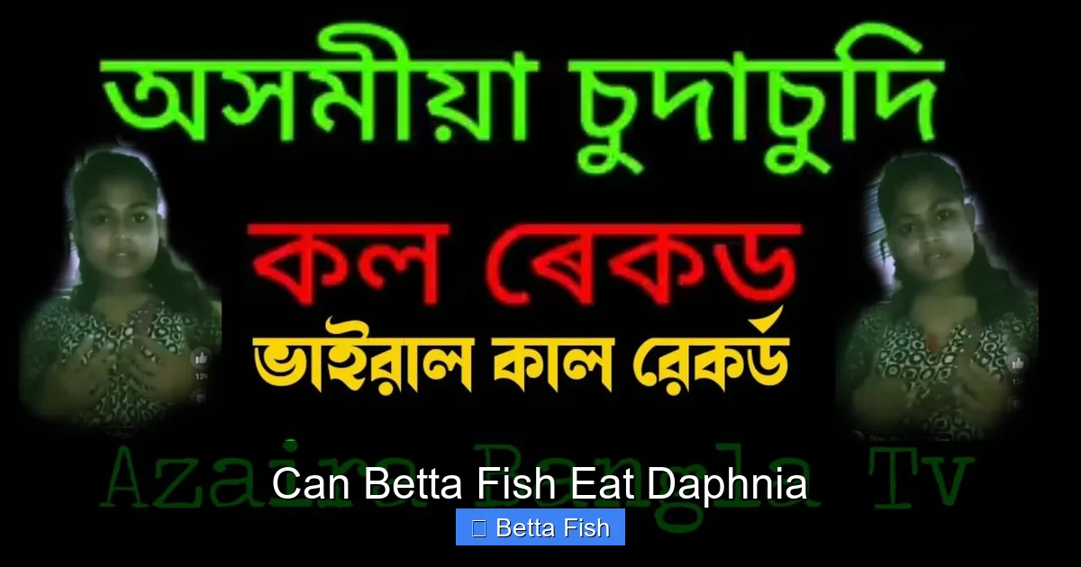 Can Betta Fish Eat Daphnia