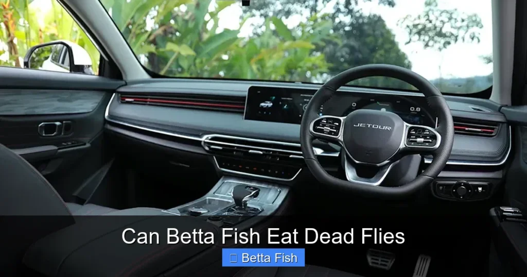 Can Betta Fish Eat Dead Flies