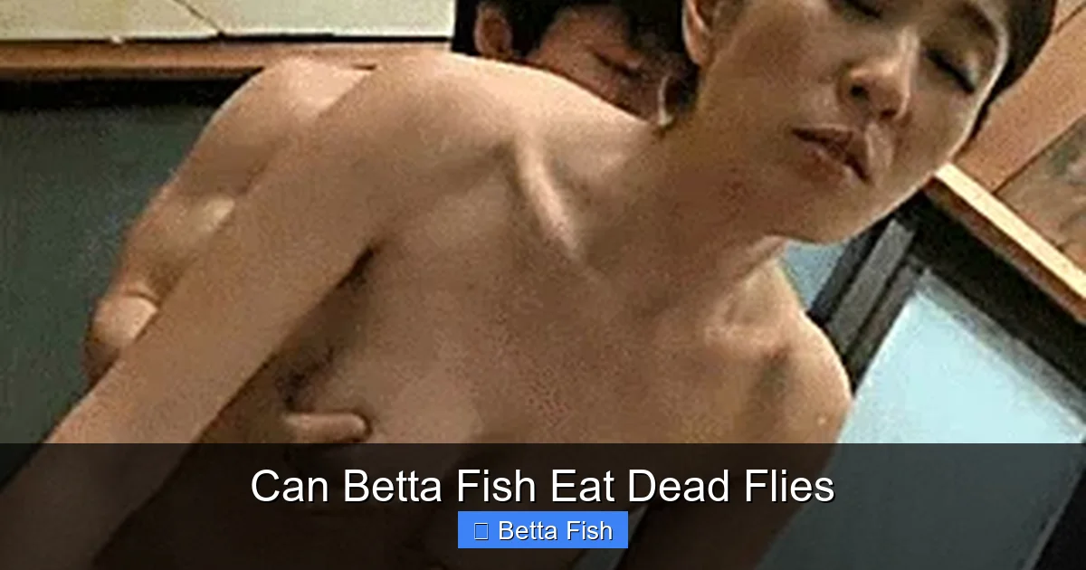 Can Betta Fish Eat Dead Flies