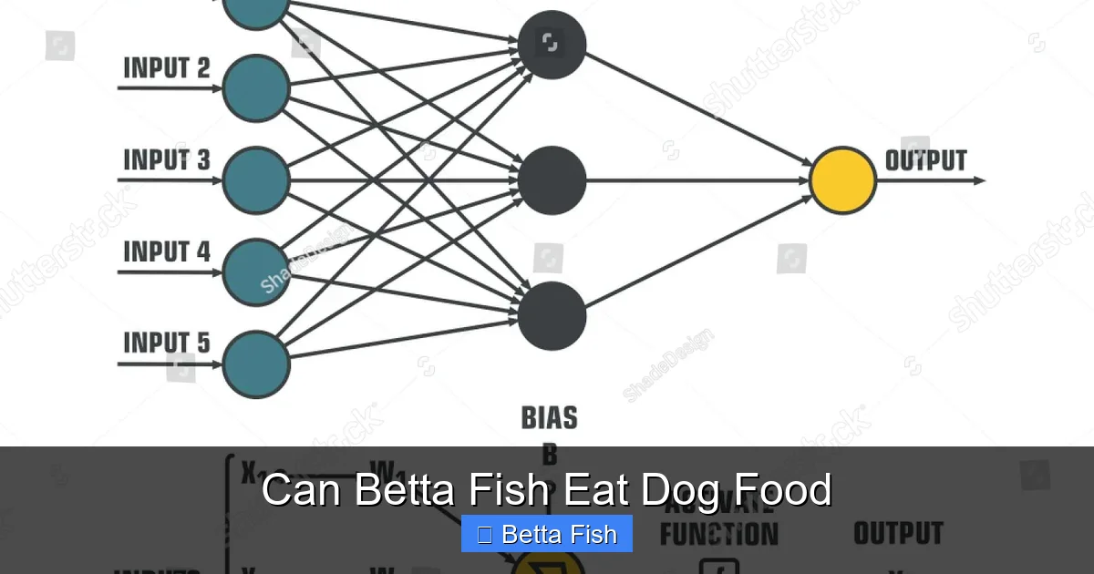Can Betta Fish Eat Dog Food