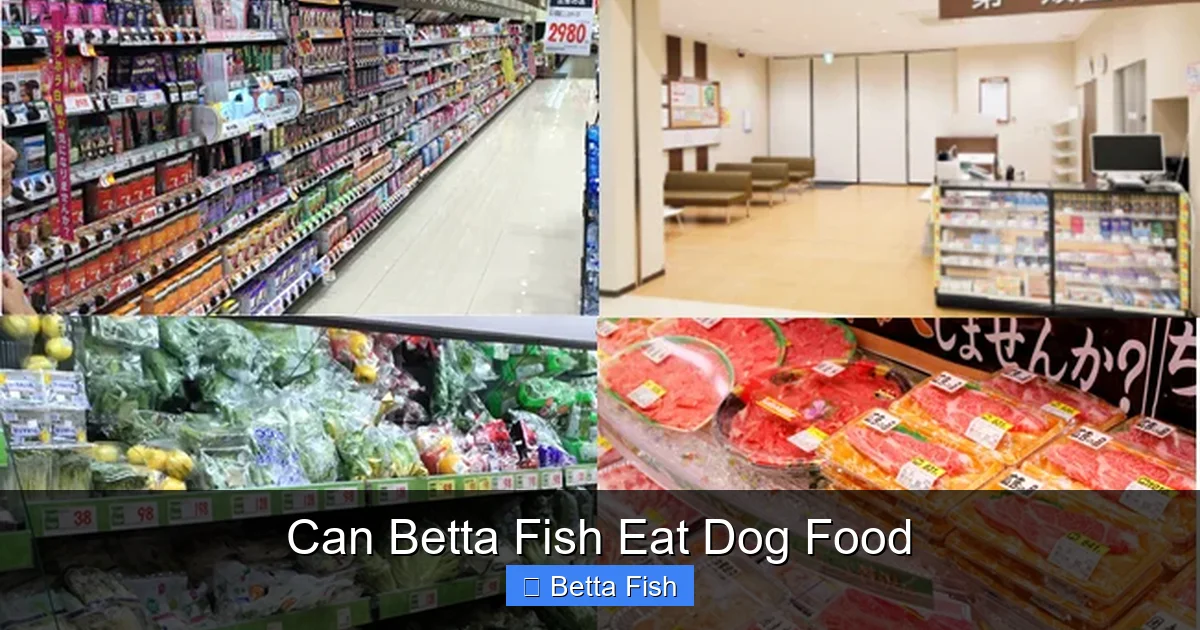 Can Betta Fish Eat Dog Food