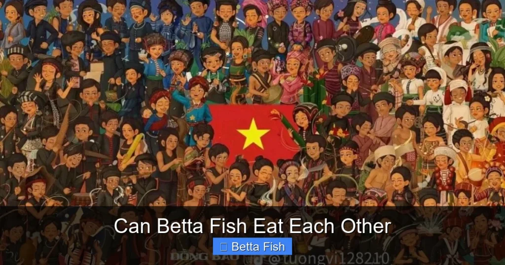Can Betta Fish Eat Each Other