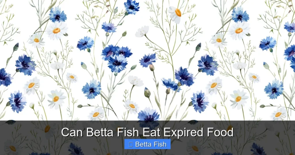 Can Betta Fish Eat Expired Food