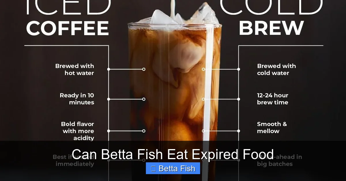 Can Betta Fish Eat Expired Food