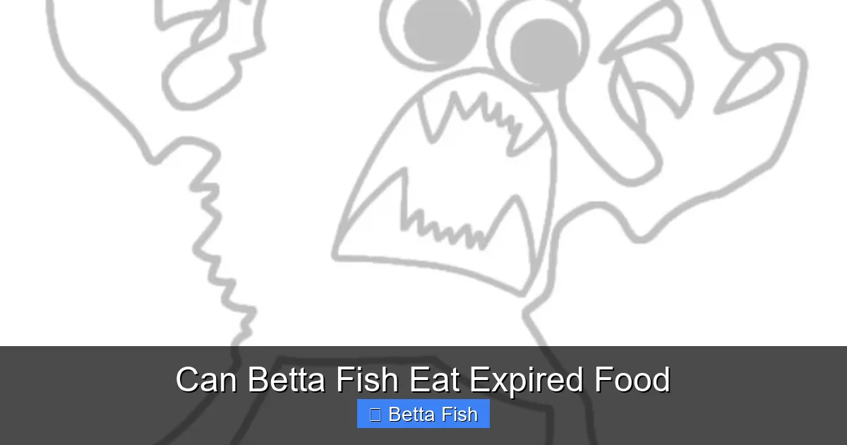 Can Betta Fish Eat Expired Food