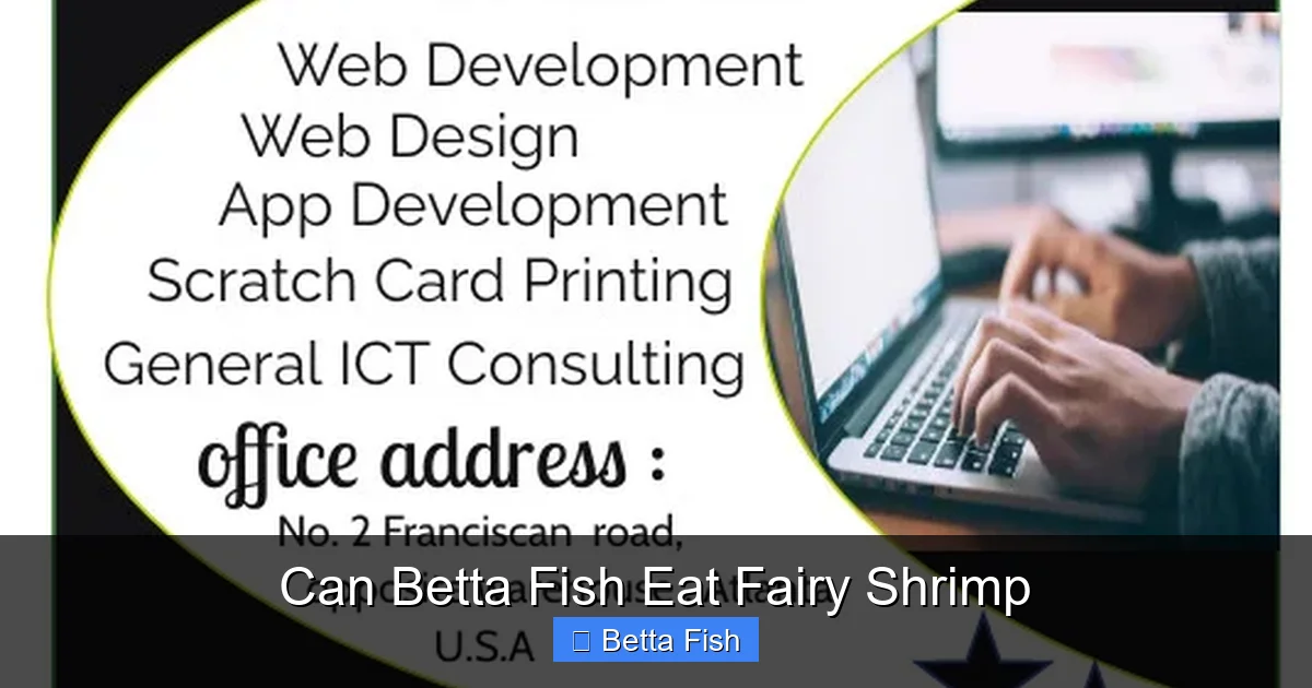 Can Betta Fish Eat Fairy Shrimp