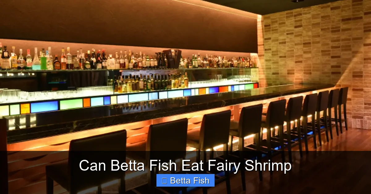 Can Betta Fish Eat Fairy Shrimp