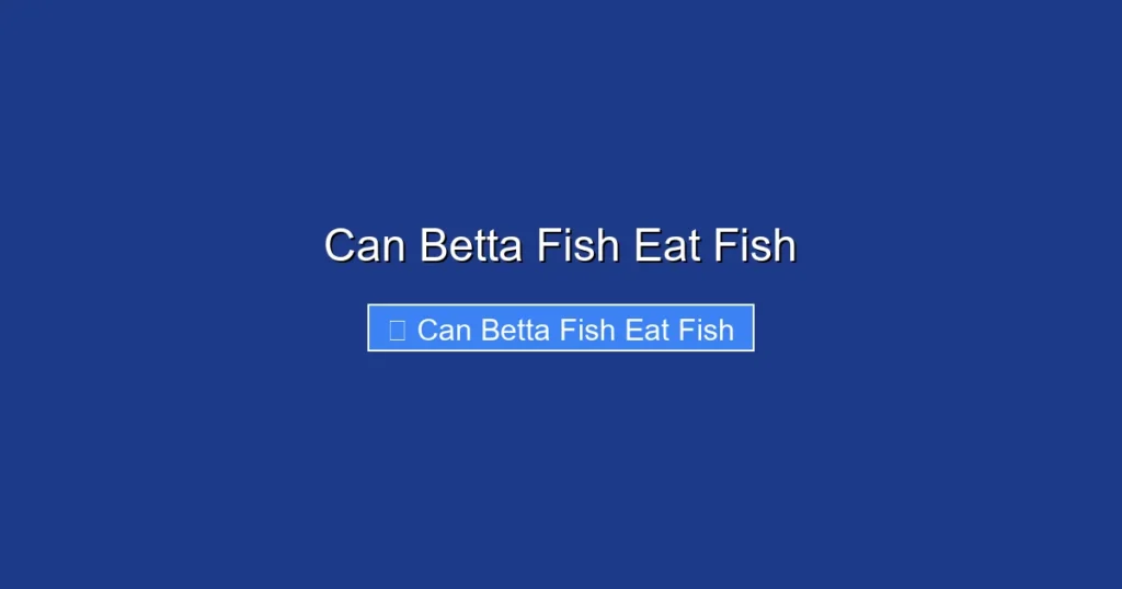 Can Betta Fish Eat Fish