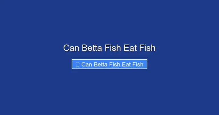 Can Betta Fish Eat Fish