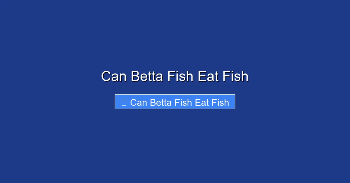 Can Betta Fish Eat Fish