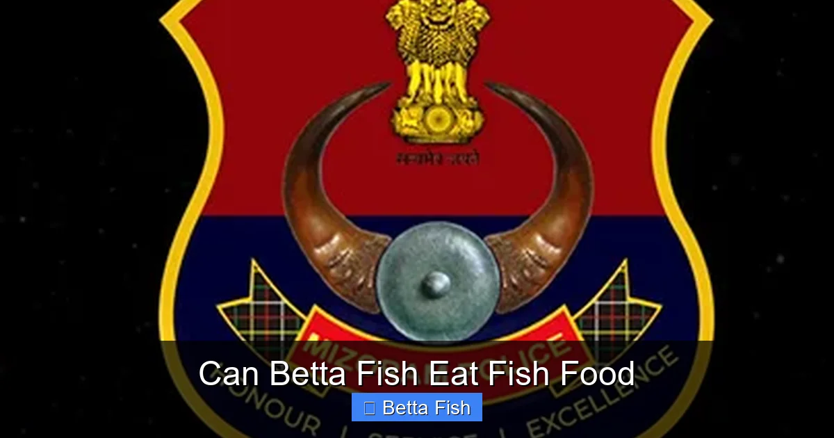Can Betta Fish Eat Fish Food