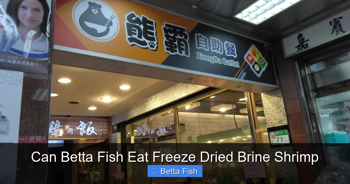Can Betta Fish Eat Freeze Dried Brine Shrimp