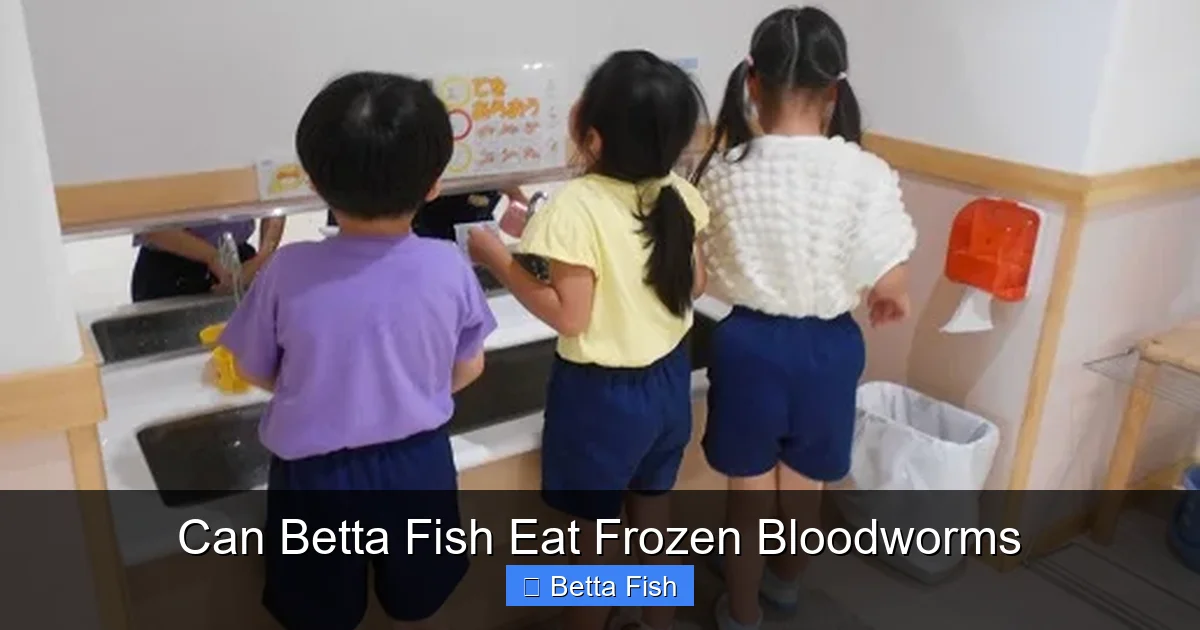 Can Betta Fish Eat Frozen Bloodworms
