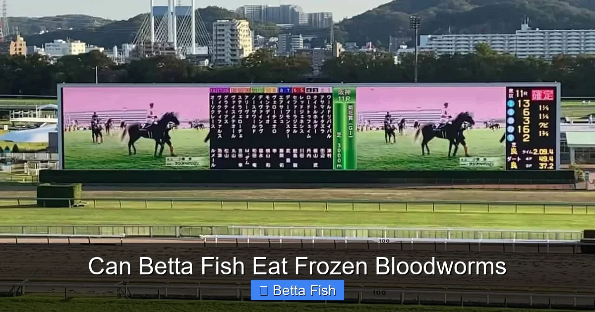 Can Betta Fish Eat Frozen Bloodworms