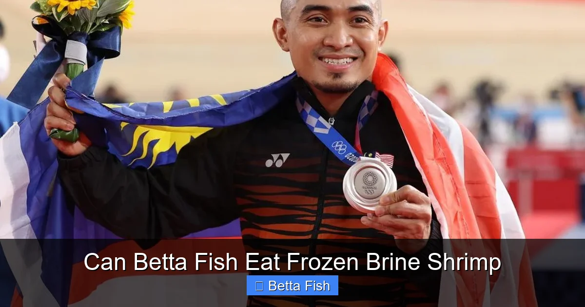 Can Betta Fish Eat Frozen Brine Shrimp