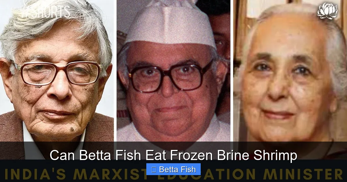 Can Betta Fish Eat Frozen Brine Shrimp