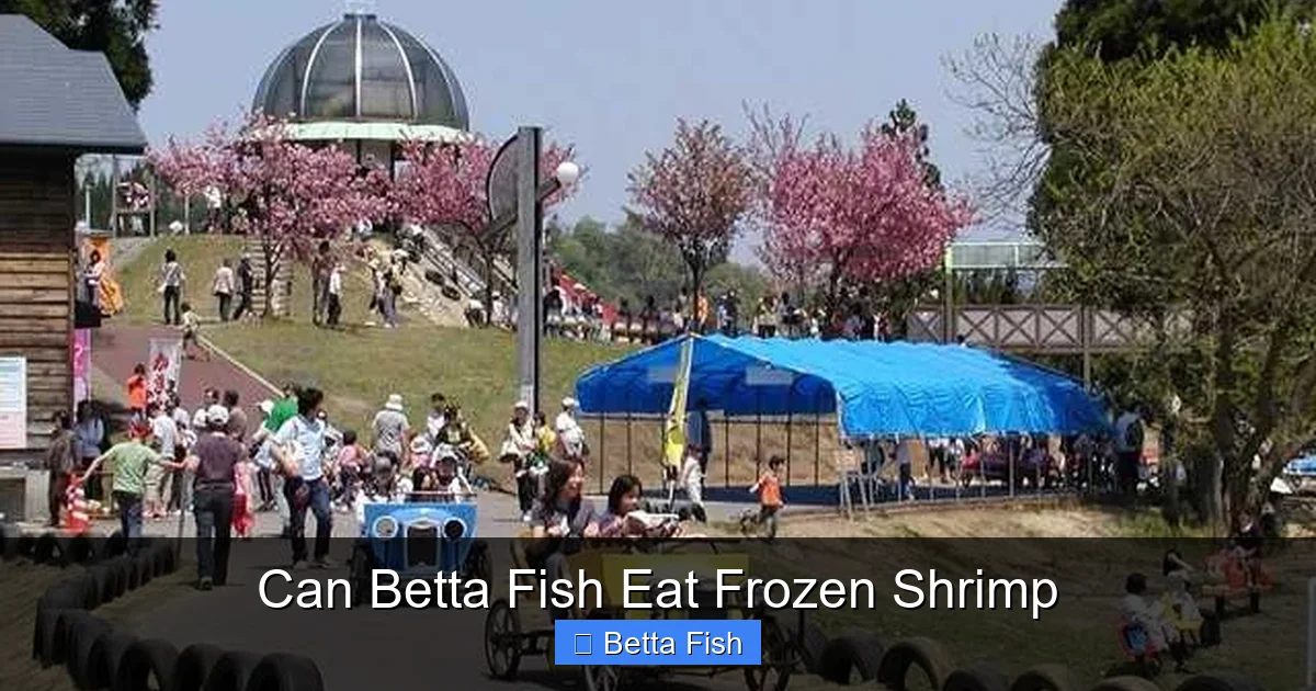 Can Betta Fish Eat Frozen Shrimp