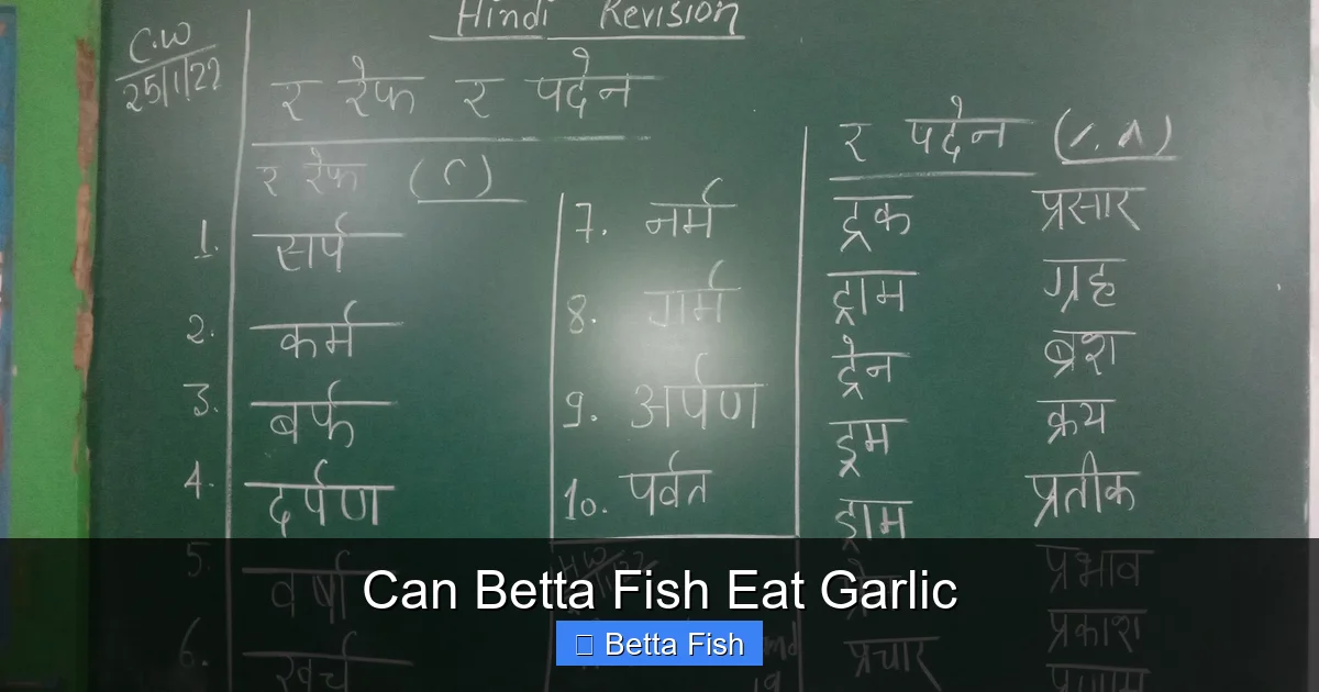 Can Betta Fish Eat Garlic