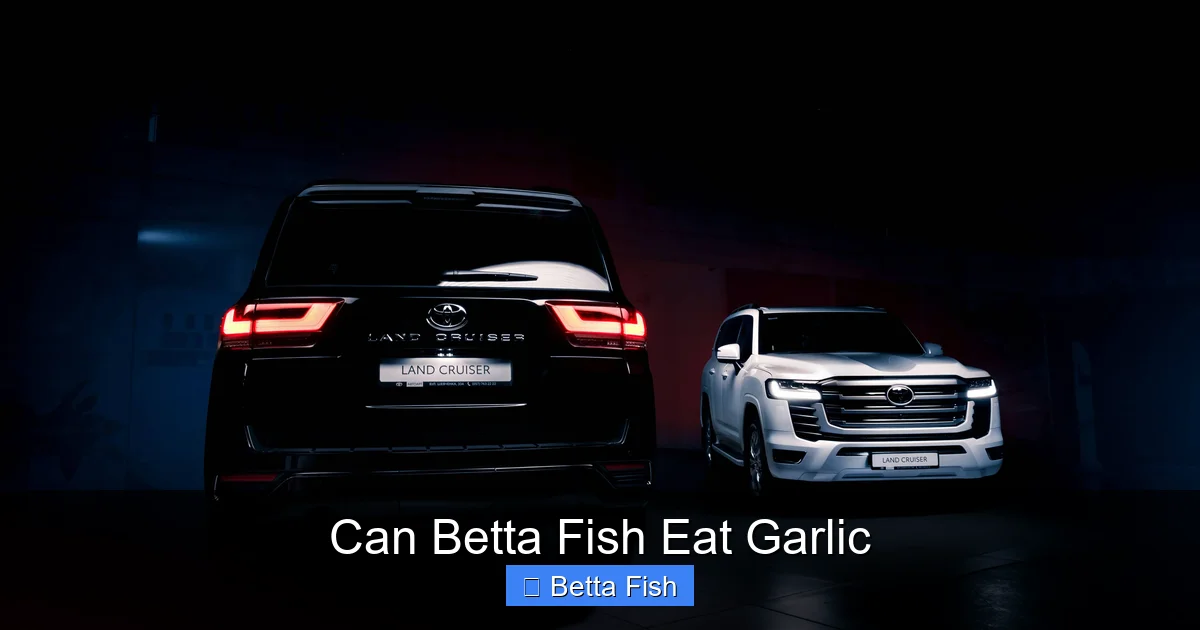 Can Betta Fish Eat Garlic