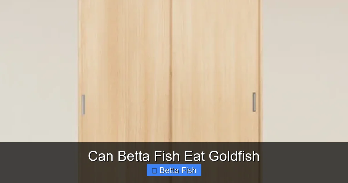 Can Betta Fish Eat Goldfish
