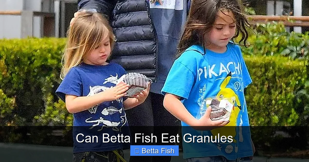 Can Betta Fish Eat Granules