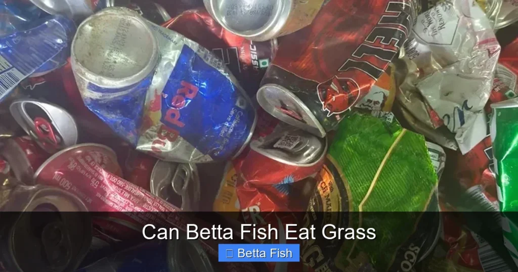 Can Betta Fish Eat Grass