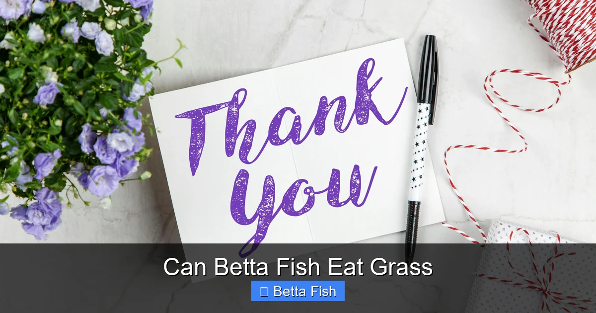 Can Betta Fish Eat Grass