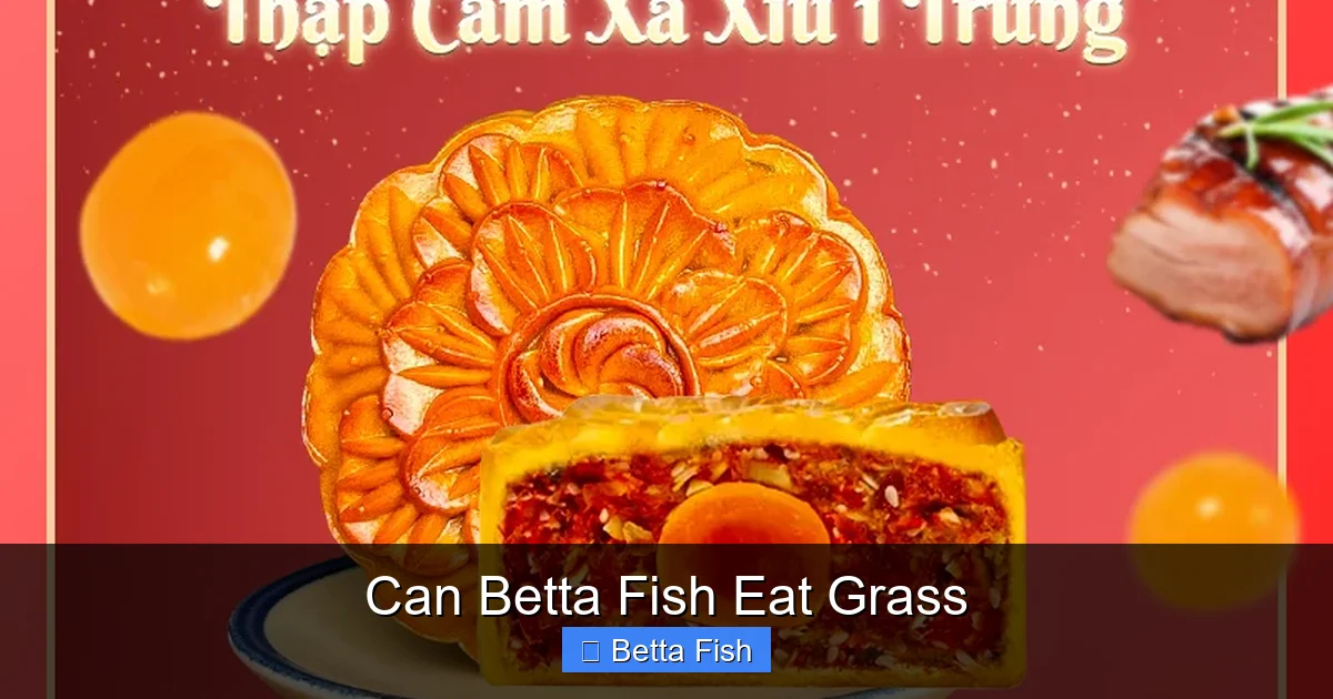 Can Betta Fish Eat Grass