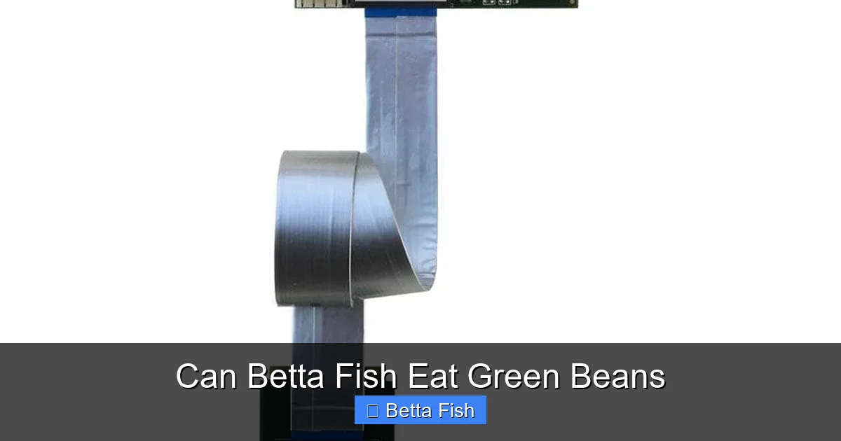 Can Betta Fish Eat Green Beans