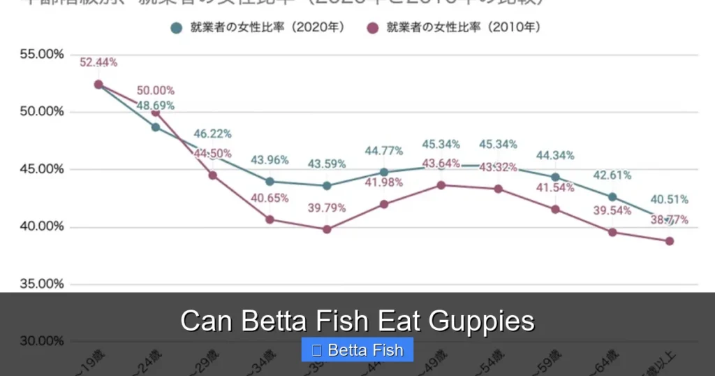 Can Betta Fish Eat Guppies