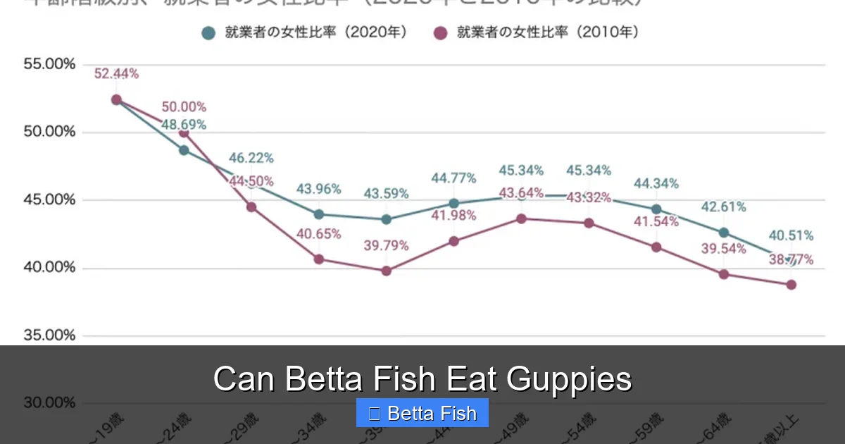 Can Betta Fish Eat Guppies