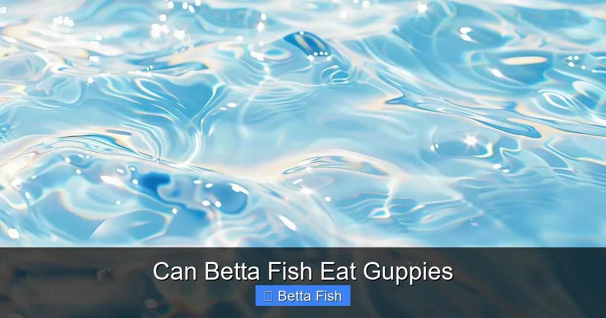 Can Betta Fish Eat Guppies