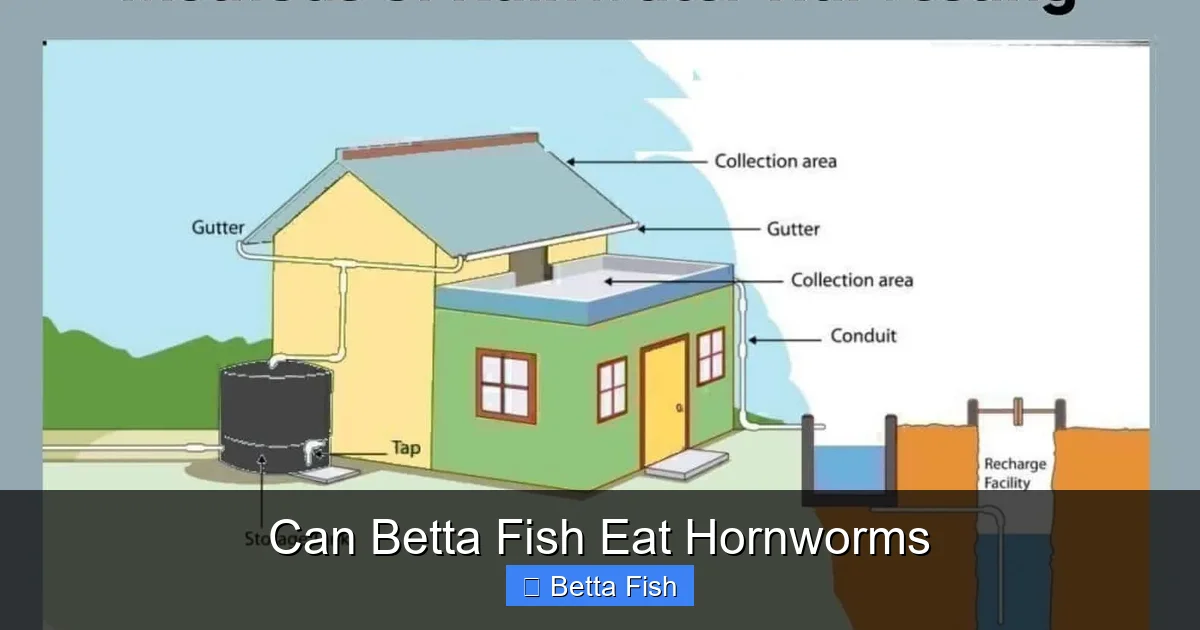 Can Betta Fish Eat Hornworms