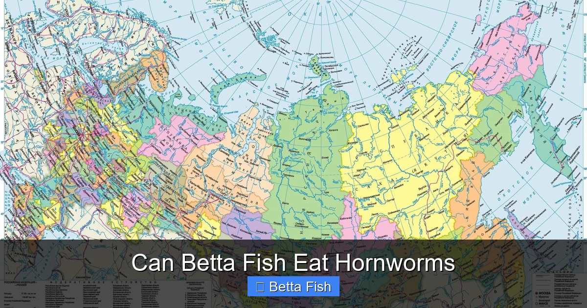 Can Betta Fish Eat Hornworms