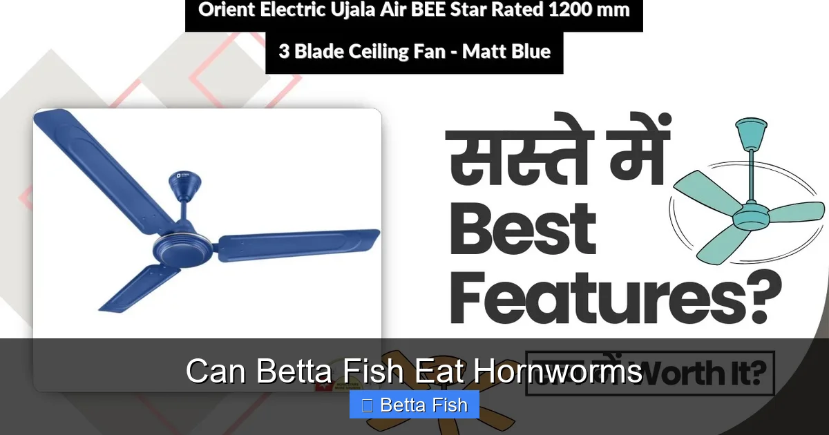 Can Betta Fish Eat Hornworms