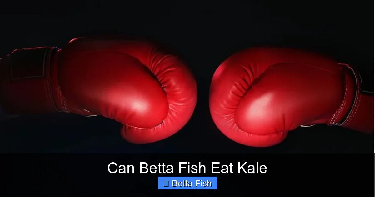 Can Betta Fish Eat Kale